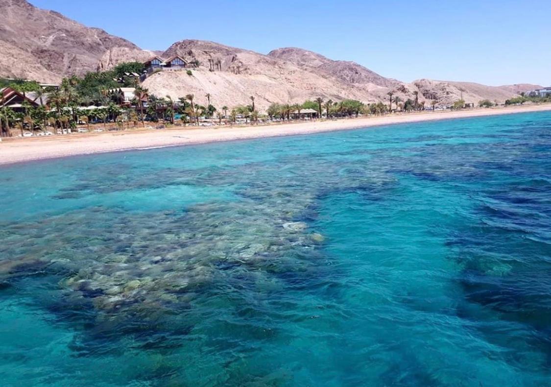 Eilat Suite Boutique Exteriör bild